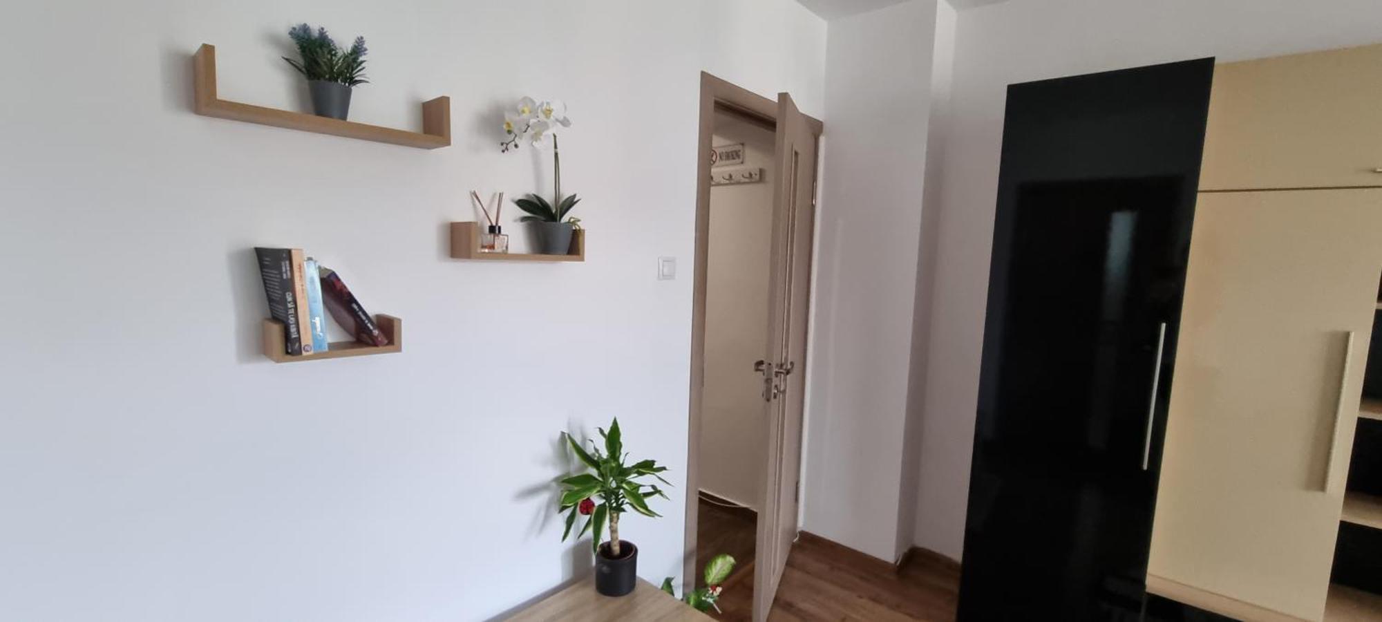 Dacia Apartment Тімішоара Екстер'єр фото