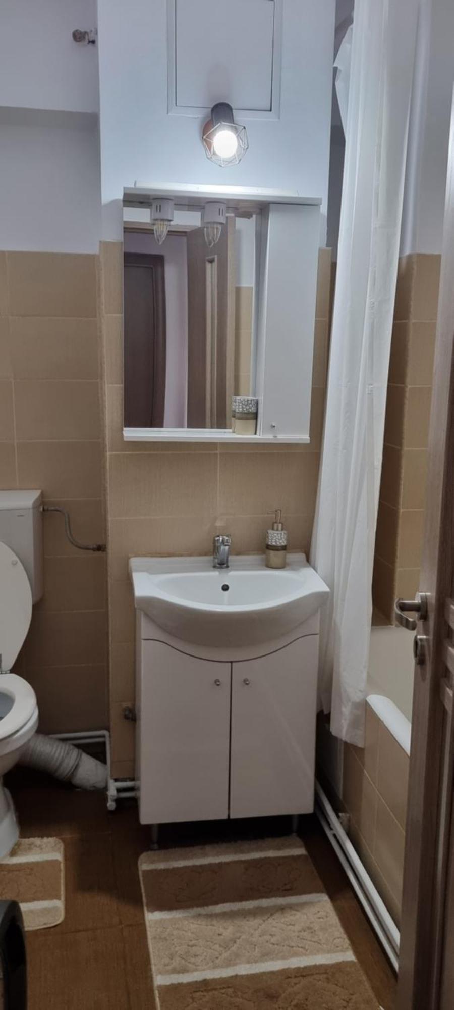 Dacia Apartment Тімішоара Екстер'єр фото